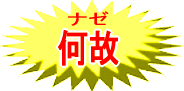 cJAڍ̃tH[Ez͑X؃z[T[rX
